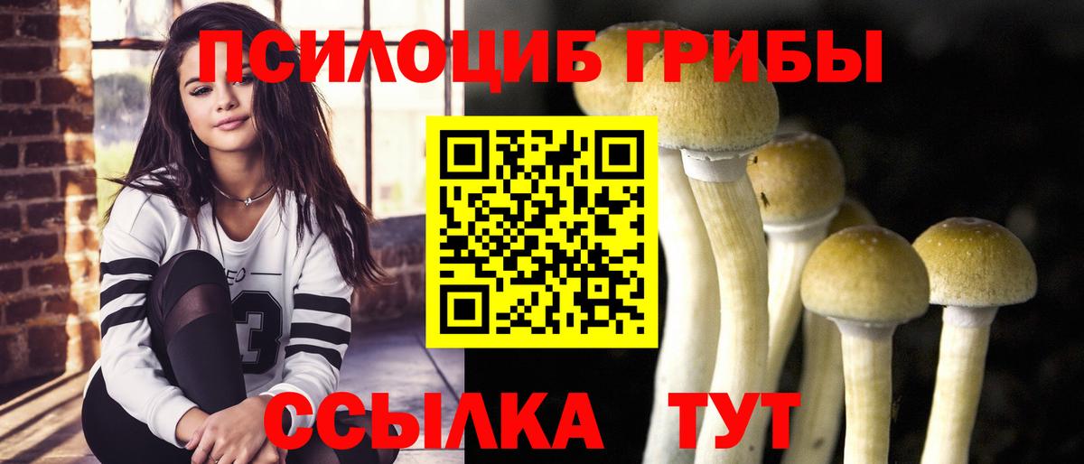 закладки  Вход с VPN  Кисловодск  Галлюциногенные грибы MAGIC MUSHROOMS 